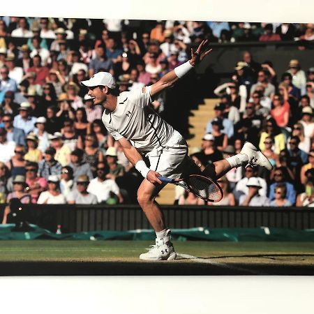 Pension Tennisweber Швехат Екстериор снимка